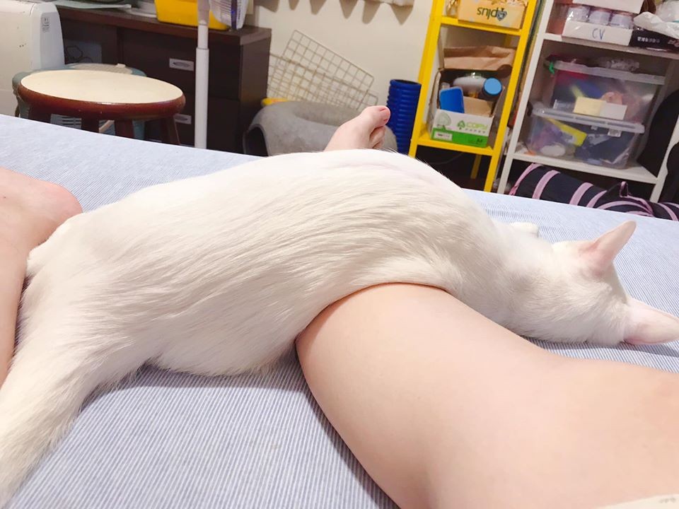 網友Gloria Wu提供