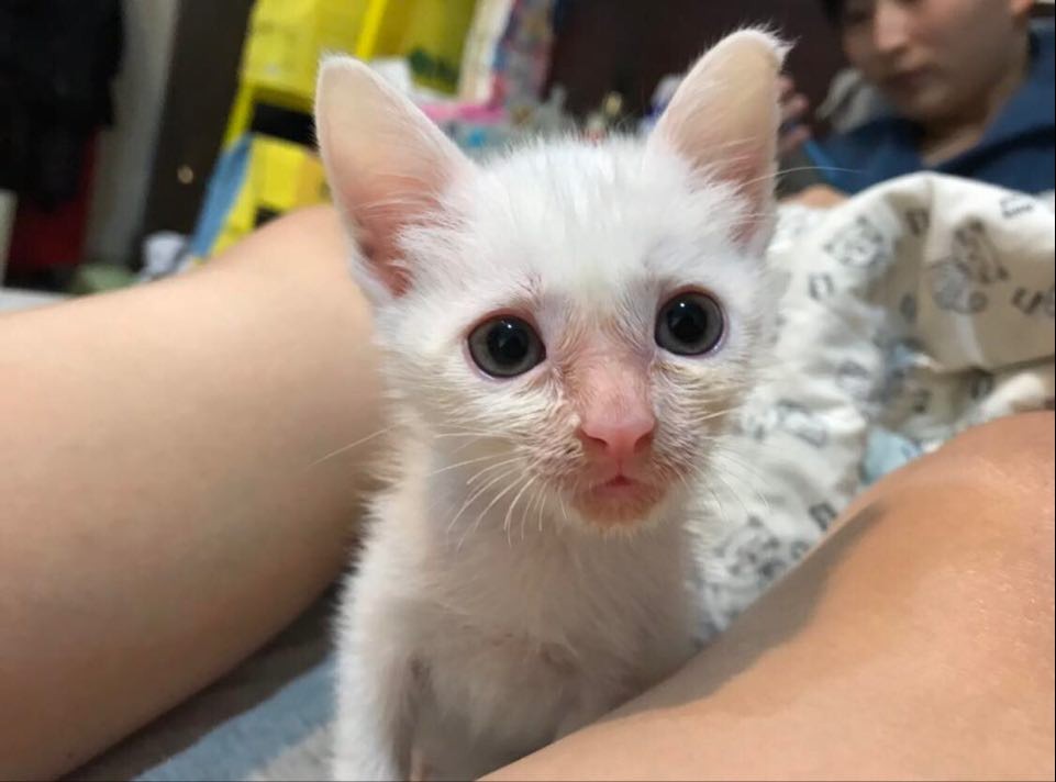 網友Gloria Wu提供