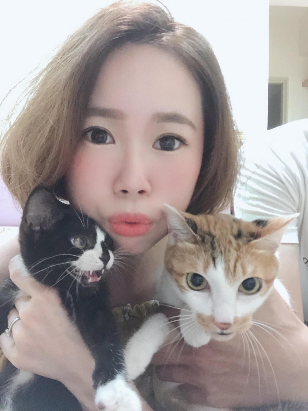 愛貓聯盟社團