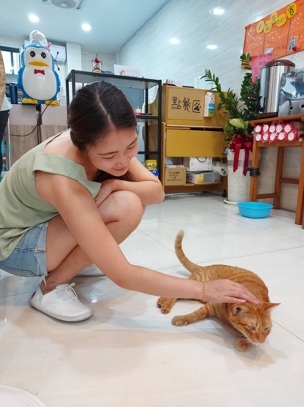 網友黃森源提供