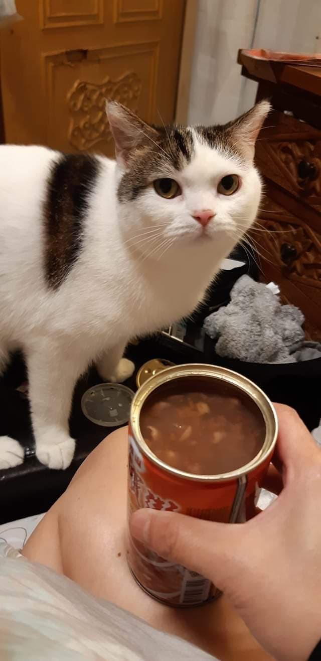 健美先生搬家公司授權