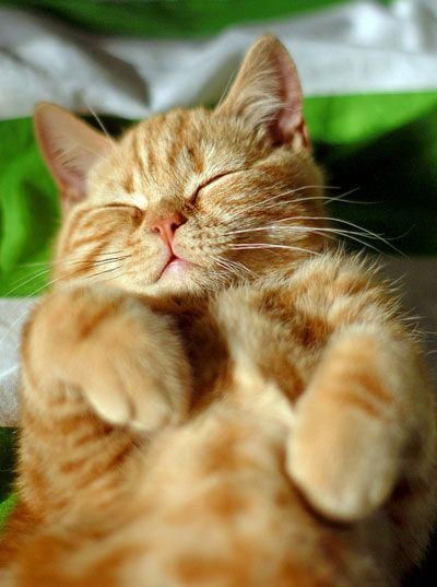 Pinterest