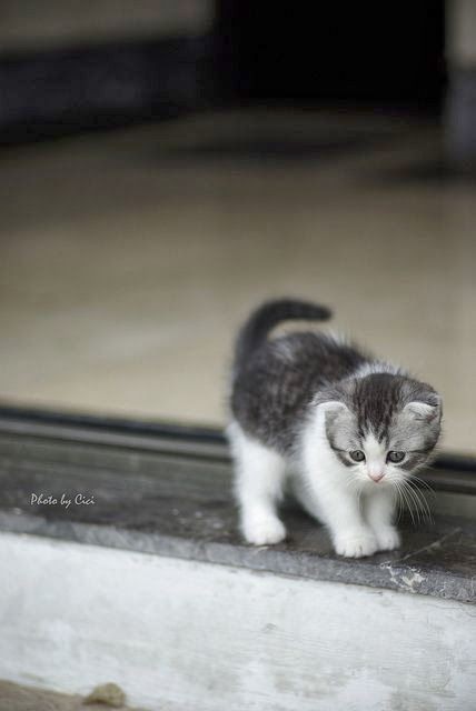Pinterest