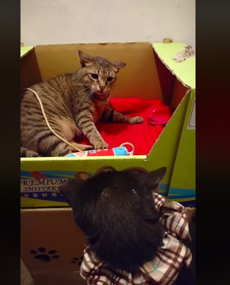 網友吳欣蕙提供