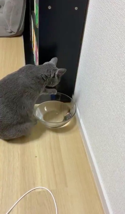 twitter/yoshidaterukazu