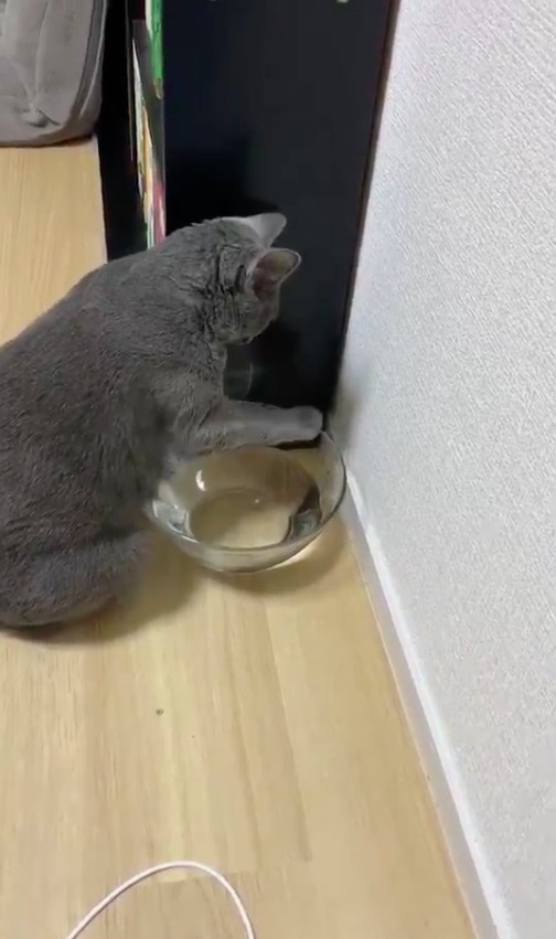 twitter/yoshidaterukazu