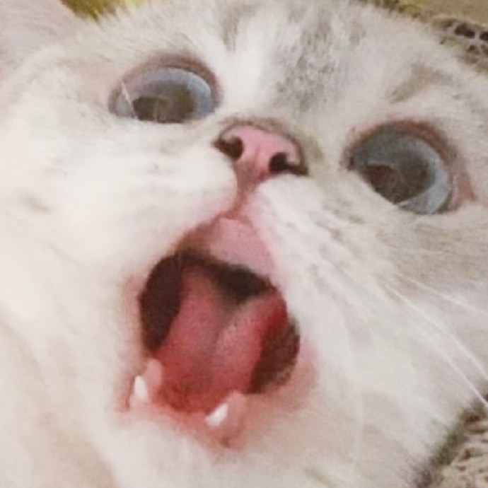 weibo猛猪猪和臭娜娜