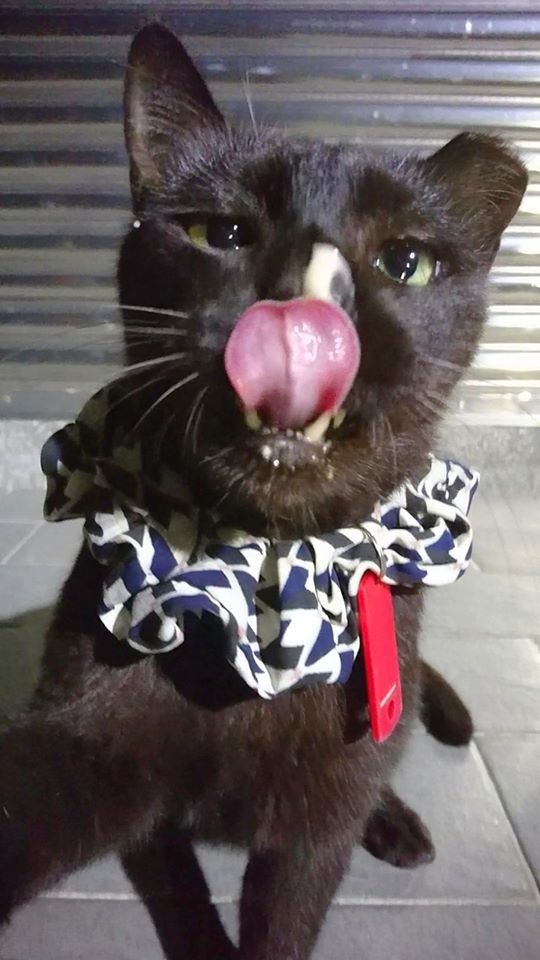 網友吳欣蕙提供