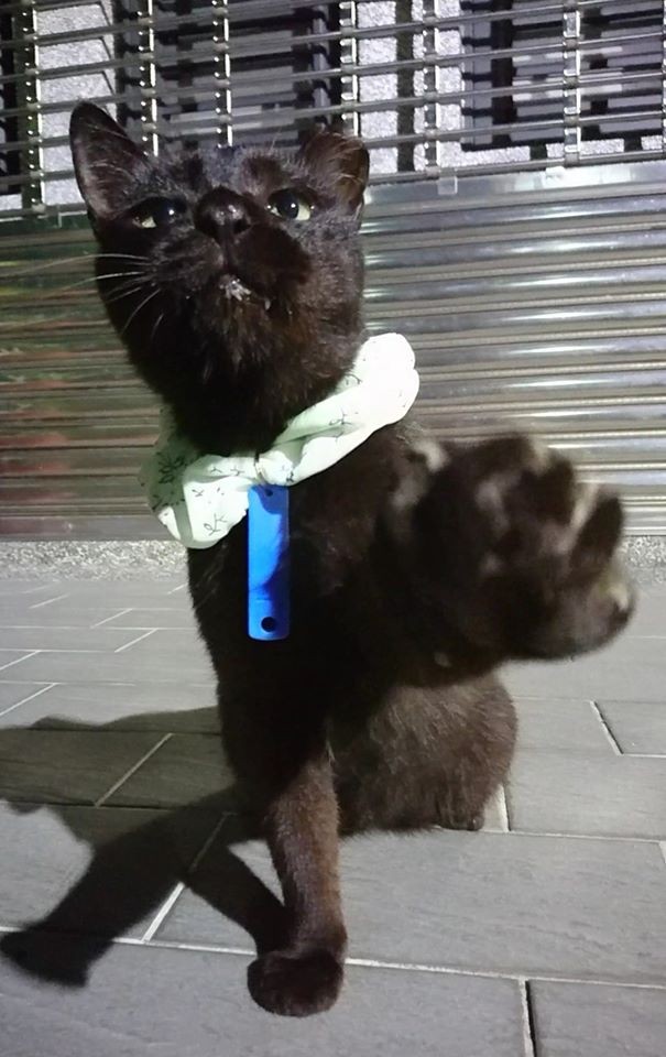 網友吳欣蕙提供