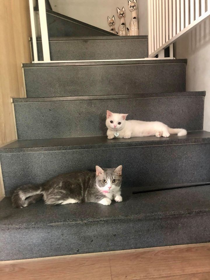 FB 廢渣聯萌
