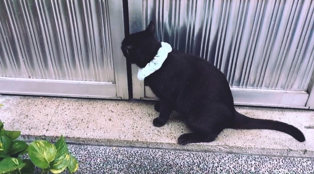 網友吳欣蕙提供