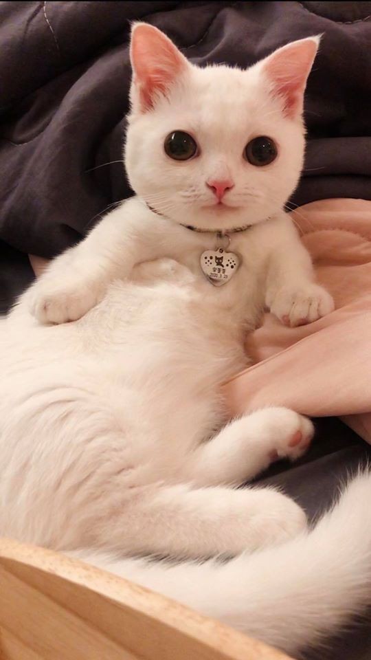 FB 廢渣聯萌