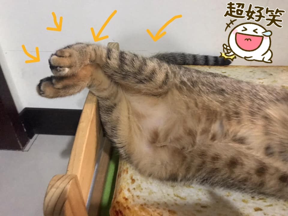 網友Yi Wei Tseng提供