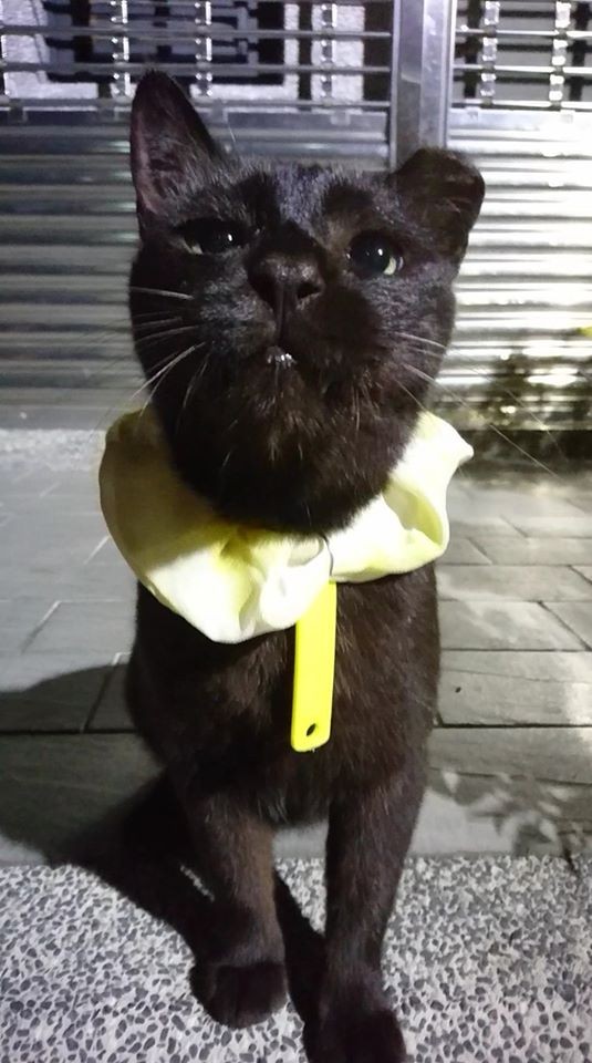 網友吳欣蕙提供