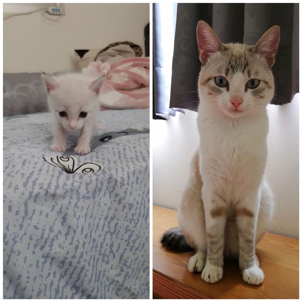 網友小云授權提供