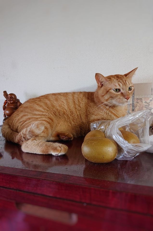 網友吳筱軒提供