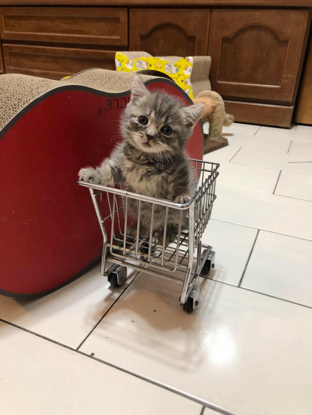 網友李弦達提供