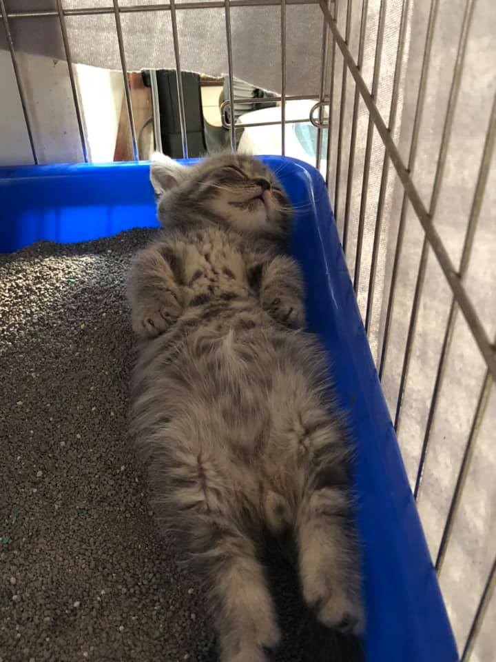 網友李弦達提供