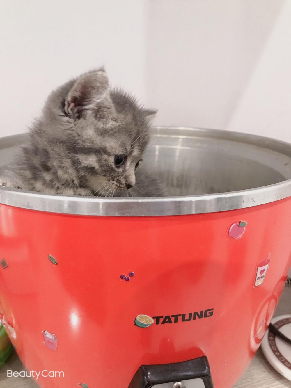 網友李弦達提供