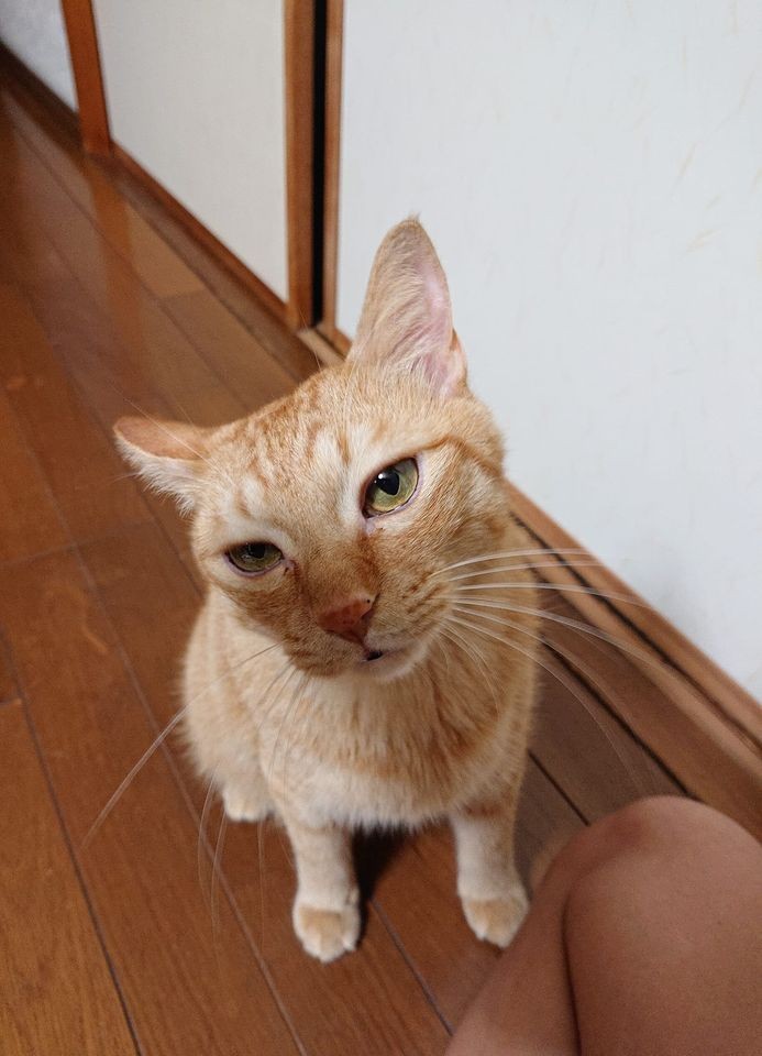 網友吳筱軒提供