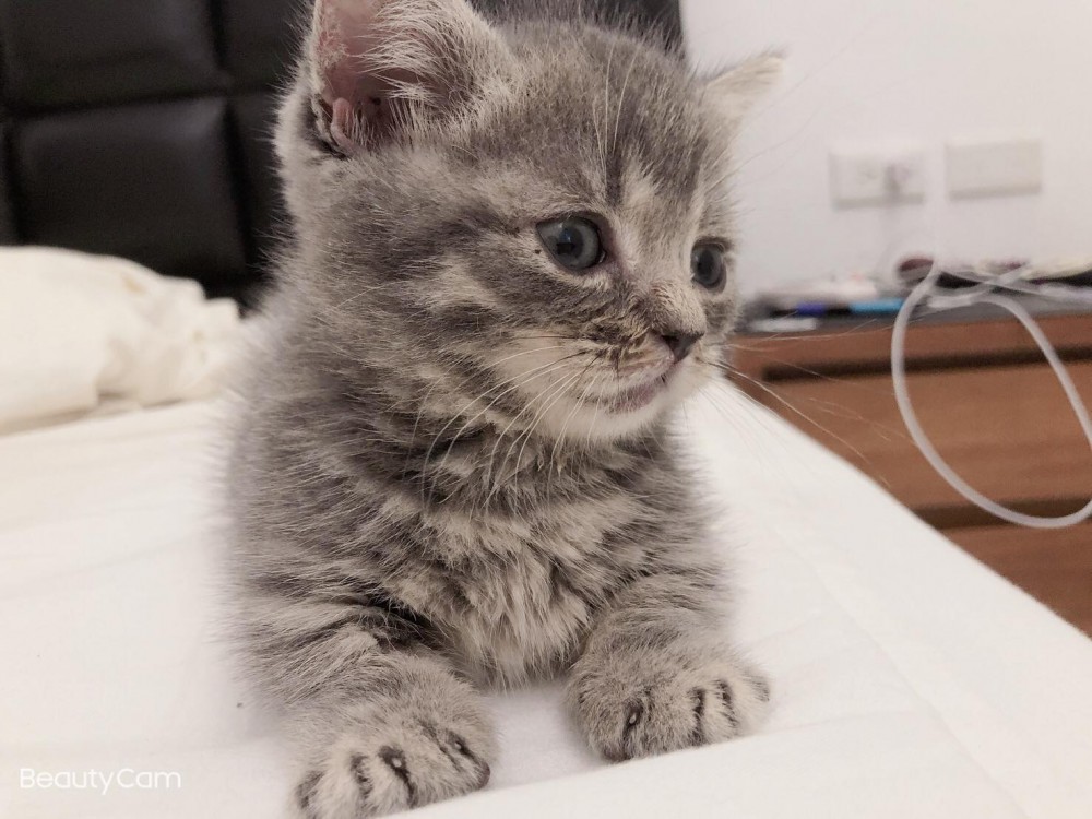 網友李弦達提供