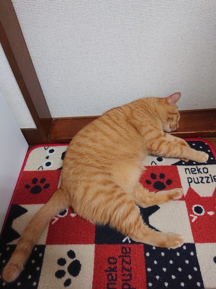 網友吳筱軒提供