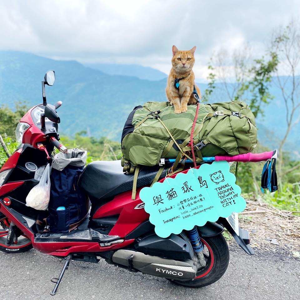 FB 小樂樂屁股扭一扭