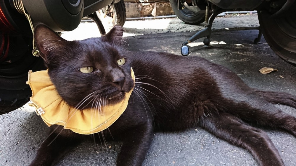 網友吳欣蕙提供