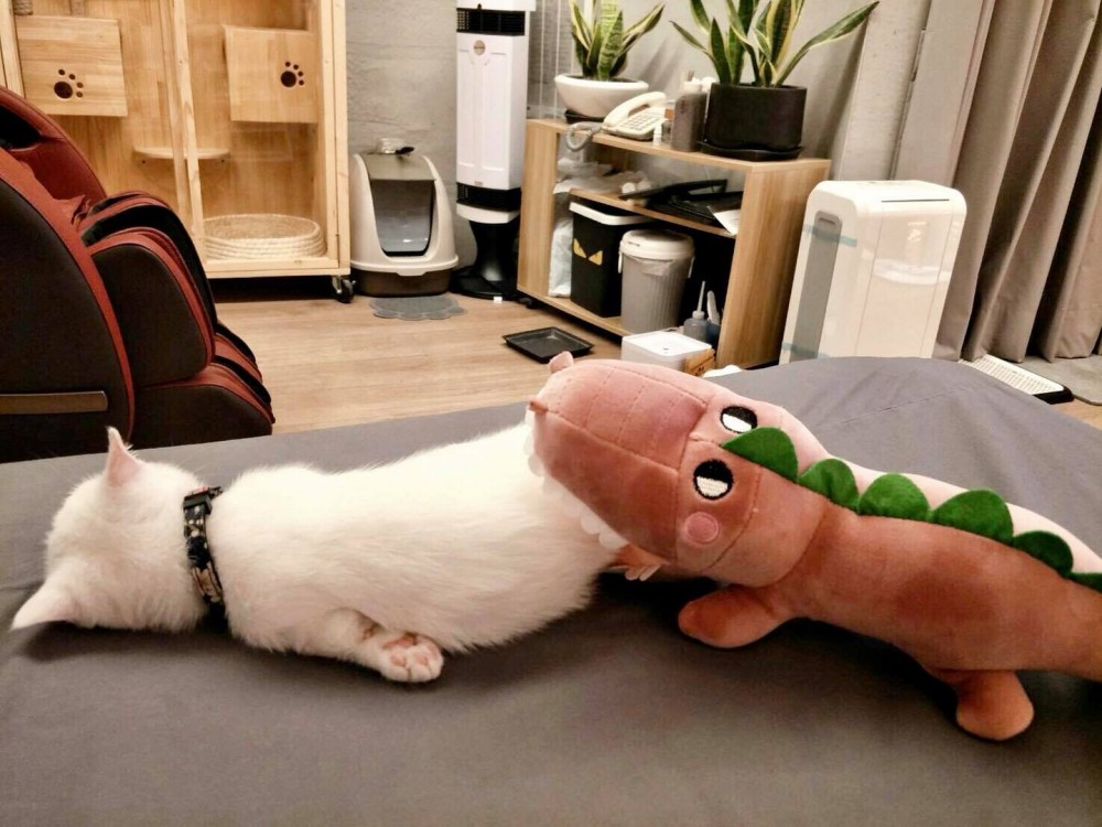 FB 廢渣聯萌