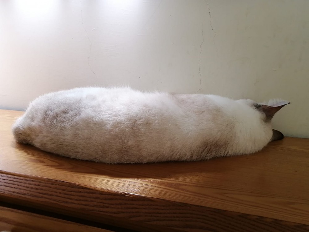 網友小云授權提供