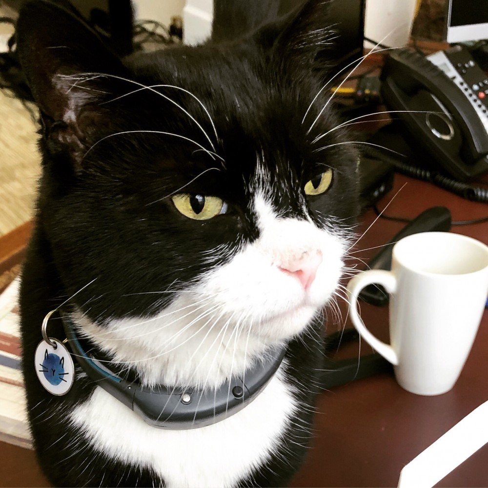twitter/DiploMog