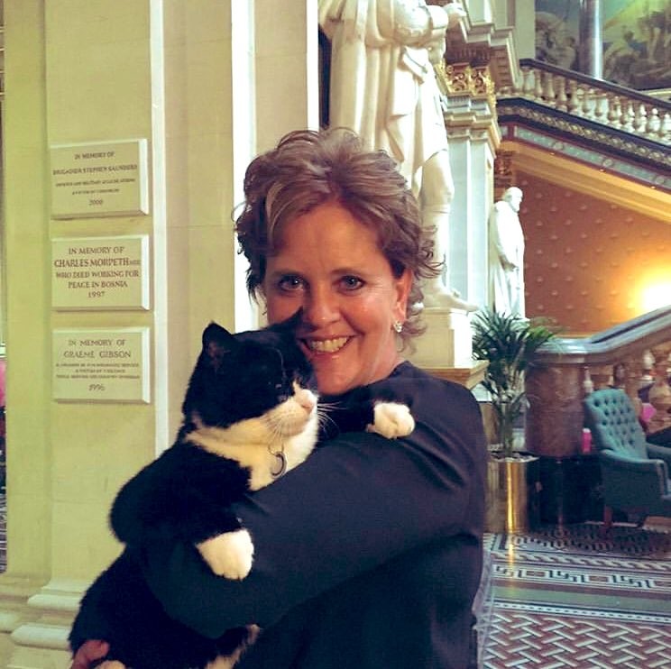 twitter/DiploMog