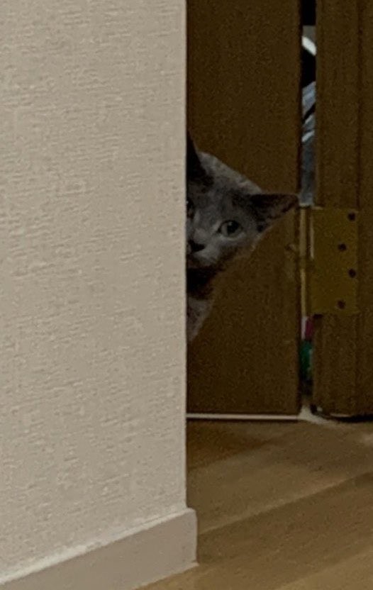 twitter/yoshidaterukazu