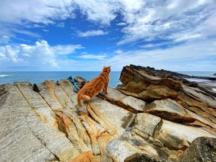 FB 小樂樂屁股扭一扭