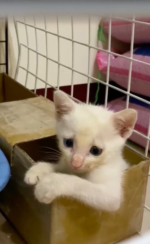 IG/l_0828_