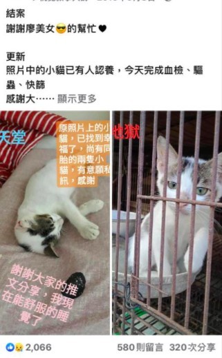 網友沈先生提供