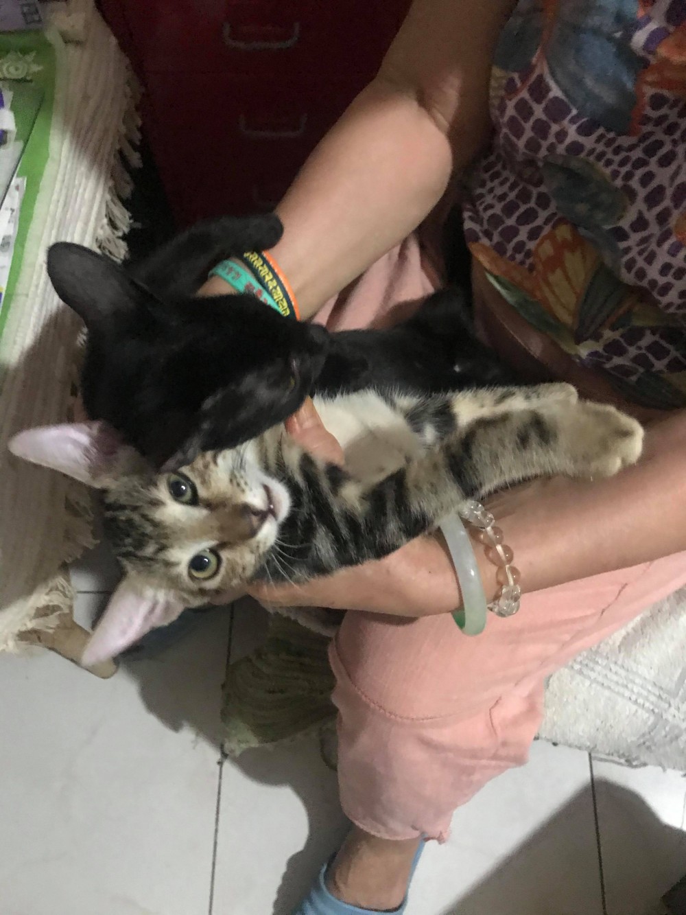 網友Arthur Chiang授權