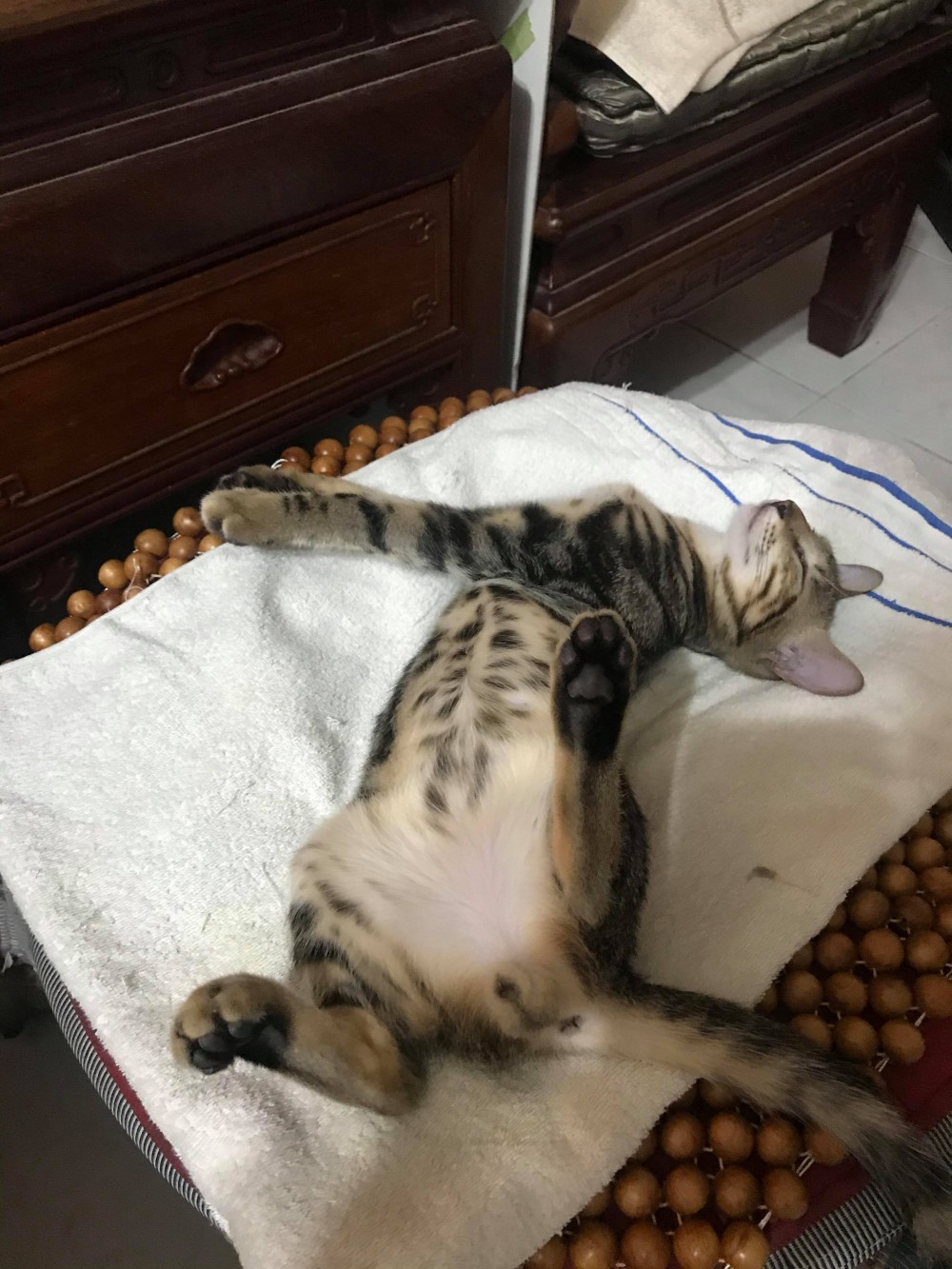 網友Arthur Chiang授權