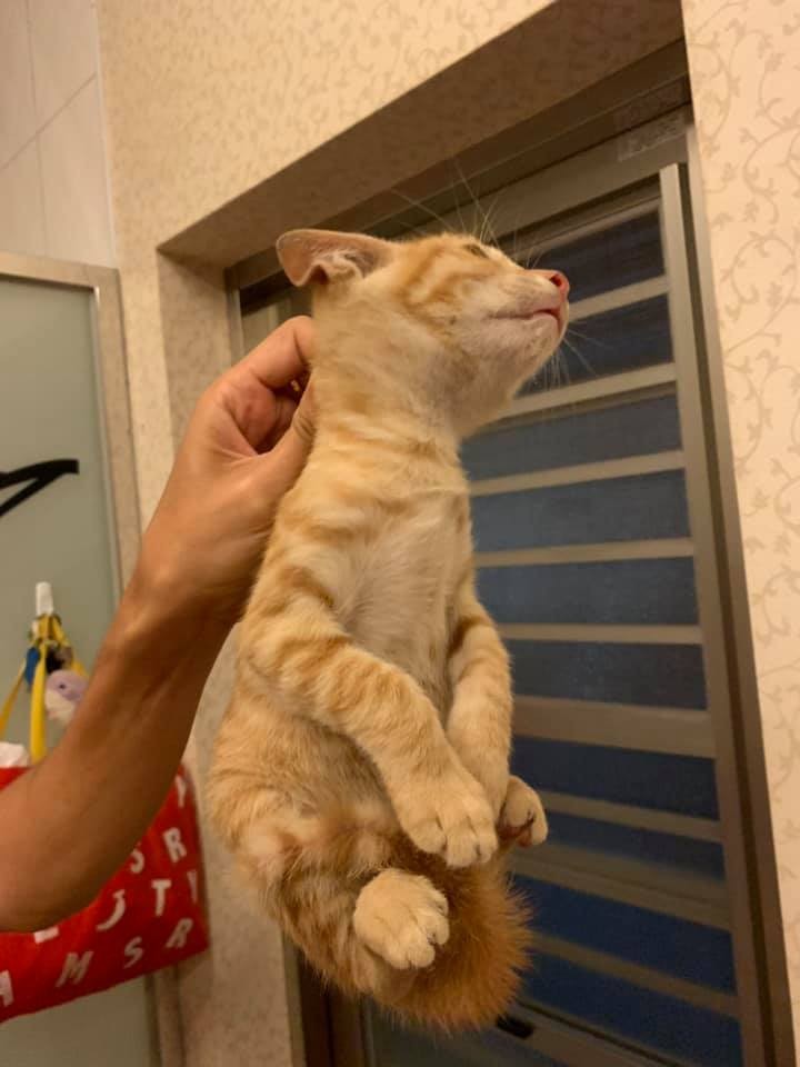 網友Hong En Gao提供