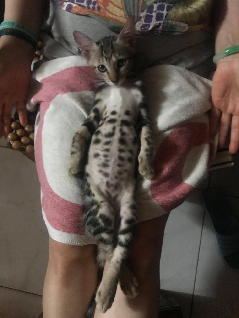 網友Arthur Chiang授權