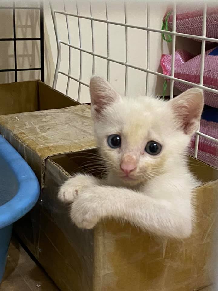 IG/l_0828_