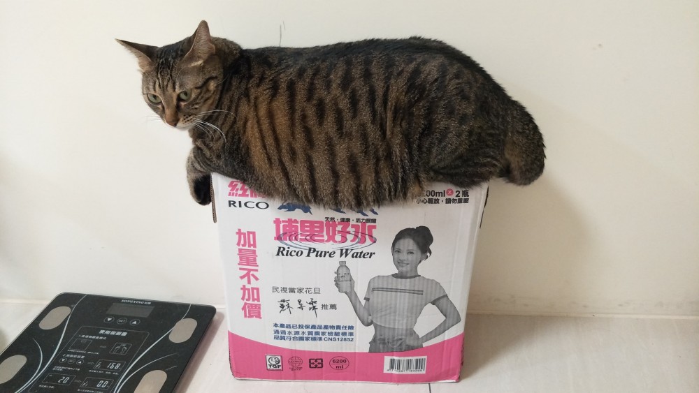 網友游孟嫻提供