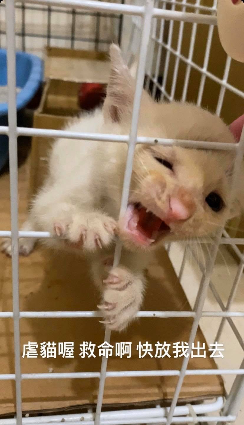 IG/l_0828_