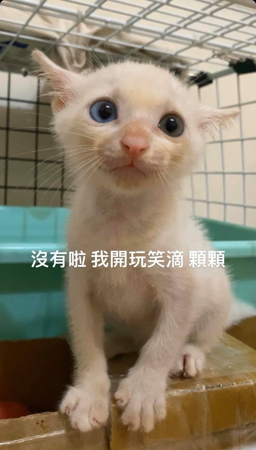 IG/l_0828_