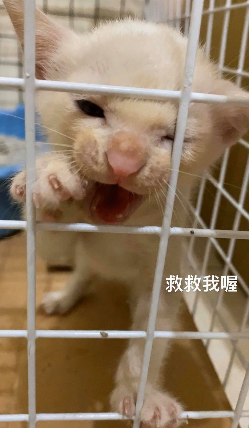 IG/l_0828_