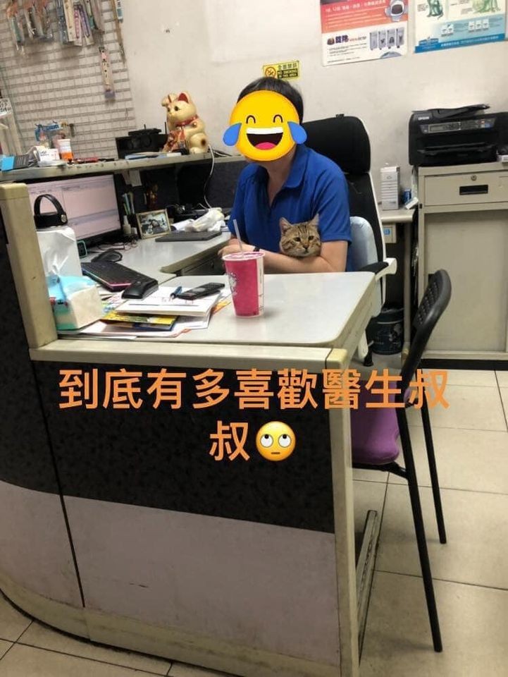 網友Yu Yu Chen提供