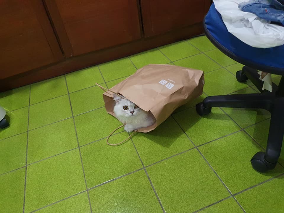 網友Jennifer chen提供