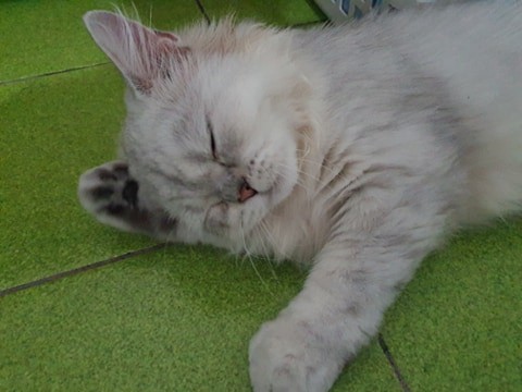 網友Jennifer chen提供