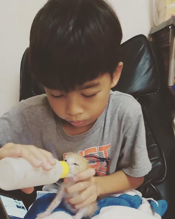 網友Amber Hu提供