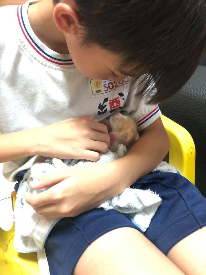 網友Amber Hu提供